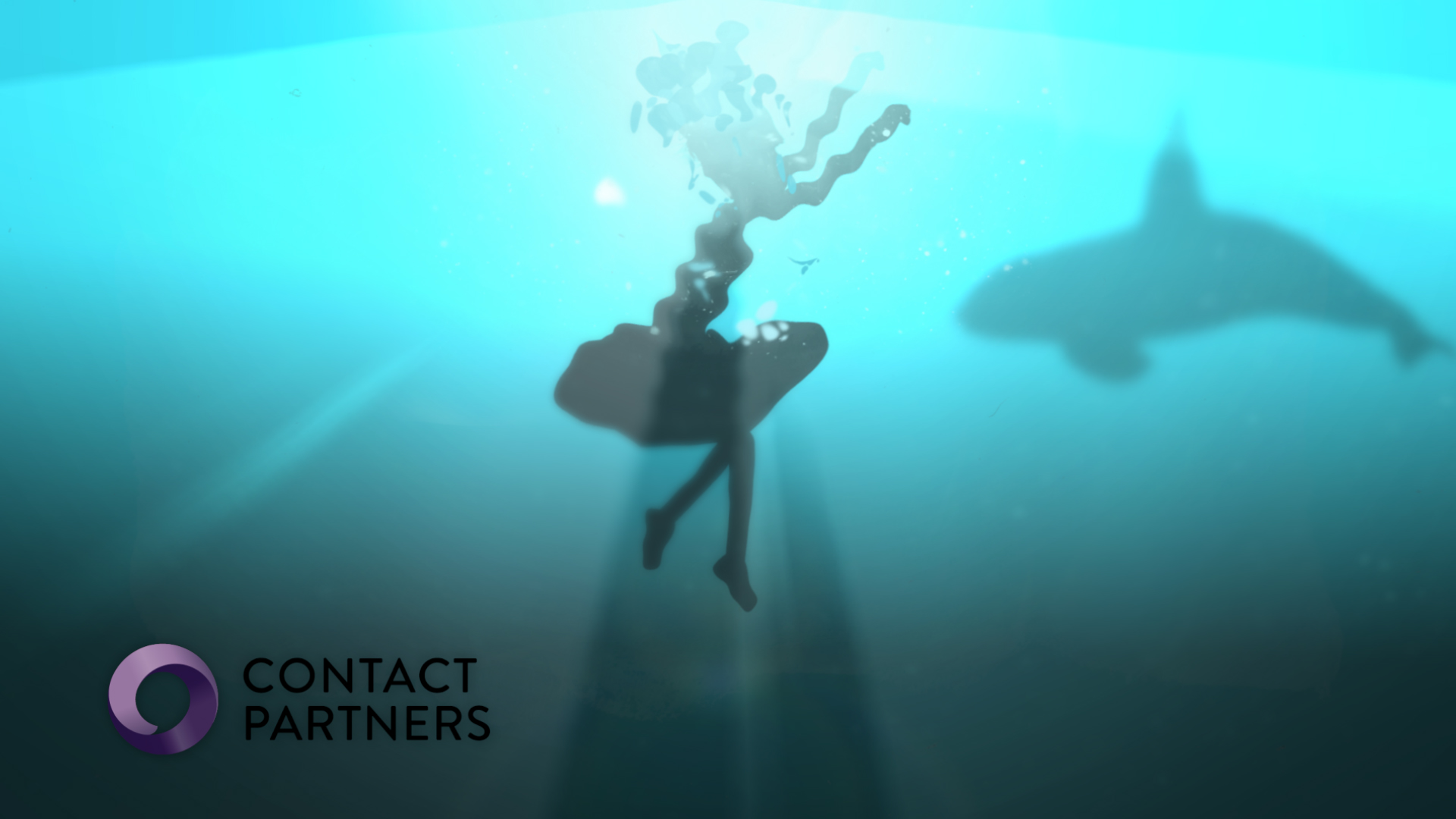 Contact Partners